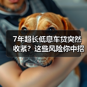 7年超长低息车贷突然收紧?这些风险你中招了吗?(图4) 7年超长低息车贷突然收紧?这些风险你中招了吗?(图4)