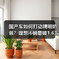 国产车如何打动精明奶爸?理想i6销量破1.6万背后的家庭真相(图2) 国产车如何打动精明奶爸?理想i6销量破1.6万背后的家庭真相(图2)