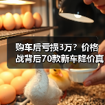 购车后亏损3万?价格战背后70款新车降价真相(图3) 购车后亏损3万?价格战背后70款新车降价真相(图3)