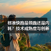 标准快跑是领跑还是内耗？技术成熟度与创新的矛盾（图1）