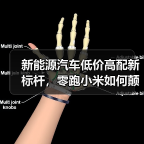 新能源汽车低价高配新标杆,零跑小米如何颠覆市场?(图3) 新能源汽车低价高配新标杆,零跑小米如何颠覆市场?(图3)