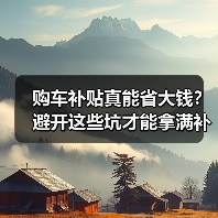 购车补贴真能省大钱?避开这些坑才能拿满补贴(图3) 购车补贴真能省大钱?避开这些坑才能拿满补贴(图3)