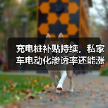 充电桩补贴持续,私家车电动化渗透率还能涨吗?(图2) 充电桩补贴持续,私家车电动化渗透率还能涨吗?(图2)