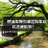 燃油车降价潮是购车良机还是陷阱?(图4) 燃油车降价潮是购车良机还是陷阱?(图4)