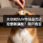 大空间SUV市场是否还需要新旗舰?用户真实需求大不同(图2) 大空间SUV市场是否还需要新旗舰?用户真实需求大不同(图2)