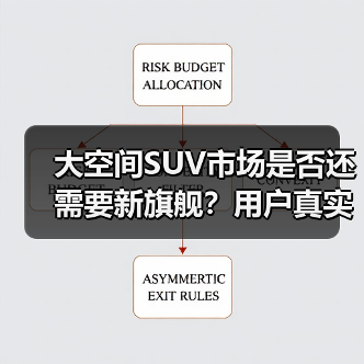 大空间SUV市场是否还需要新旗舰?用户真实需求大不同(图3) 大空间SUV市场是否还需要新旗舰?用户真实需求大不同(图3)