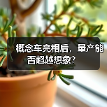 概念车亮相后,量产能否超越想象?(图2) 概念车亮相后,量产能否超越想象?(图2)
