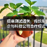 极寒测试通关，传统车企与科技公司合作模式突破点何在？（图1）