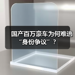 国产百万豪车为何难逃“身份争议”?(图4) 国产百万豪车为何难逃“身份争议”?(图4)