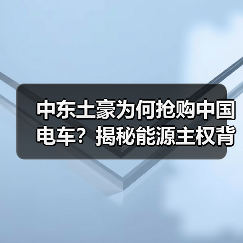 中东土豪为何抢购中国电车?揭秘能源主权背后的硬核合作逻辑(图1) 中东土豪为何抢购中国电车?揭秘能源主权背后的硬核合作逻辑(图1)