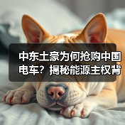 中东土豪为何抢购中国电车?揭秘能源主权背后的硬核合作逻辑(图3) 中东土豪为何抢购中国电车?揭秘能源主权背后的硬核合作逻辑(图3)