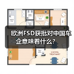 欧洲FSD获批对中国车企意味着什么?(图1) 欧洲FSD获批对中国车企意味着什么?(图1)