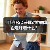 欧洲FSD获批对中国车企意味着什么?(图2) 欧洲FSD获批对中国车企意味着什么?(图2)