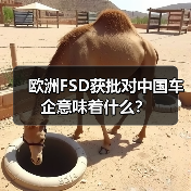 欧洲FSD获批对中国车企意味着什么?(图4) 欧洲FSD获批对中国车企意味着什么?(图4)