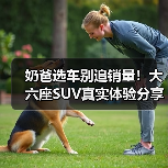 奶爸选车别追销量!大六座SUV真实体验分享 奶爸选车别追销量!大六座SUV真实体验分享