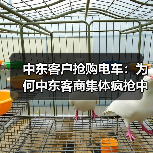 中东客户抢购电车:为何中东客商集体疯抢中国电车?(图3) 中东客户抢购电车:为何中东客商集体疯抢中国电车?(图3)