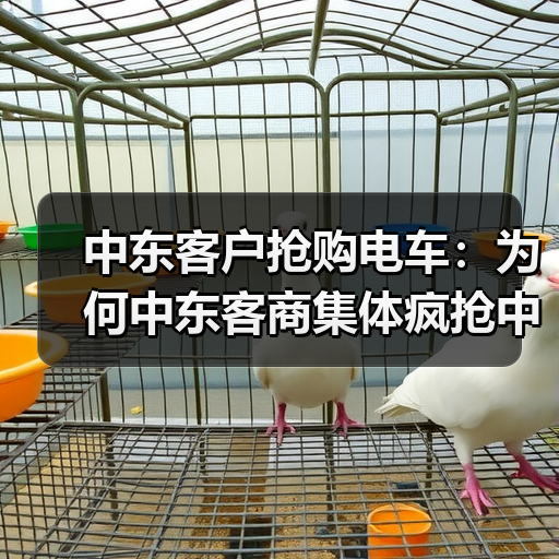 中东客户抢购电车:为何中东客商集体疯抢中国电车?(图3) 中东客户抢购电车:为何中东客商集体疯抢中国电车?(图3)