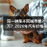同一辆车不同城市差2.8万？2026年汽车价格差异背后的真相（图2）
