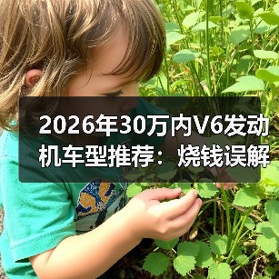 2026年30万内V6发动机车型推荐:烧钱误解如何破?(图4) 2026年30万内V6发动机车型推荐:烧钱误解如何破?(图4)