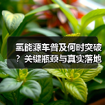 氢能源车普及何时突破?关键瓶颈与真实落地路径(图2) 氢能源车普及何时突破?关键瓶颈与真实落地路径(图2)