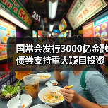 国常会发行3000亿金融债券支持重大项目投资(图4) 国常会发行3000亿金融债券支持重大项目投资(图4)