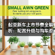 起亚新车上市节奏全解析:配置升级与购车避坑指南(图3) 起亚新车上市节奏全解析:配置升级与购车避坑指南(图3)