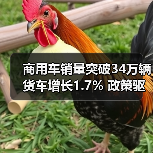 商用车销量突破34万辆 货车增长1.7% 政策驱动市场增长 商用车销量突破34万辆 货车增长1.7% 政策驱动市场增长