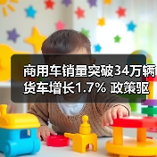 商用车销量突破34万辆 货车增长1.7% 政策驱动市场增长(图3) 商用车销量突破34万辆 货车增长1.7% 政策驱动市场增长(图3)