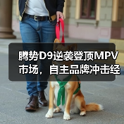 腾势D9逆袭登顶MPV市场,自主品牌冲击经典车型 腾势D9逆袭登顶MPV市场,自主品牌冲击经典车型