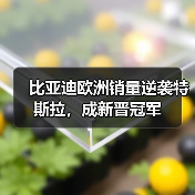 比亚迪欧洲销量逆袭特斯拉,成新晋冠军(图2) 比亚迪欧洲销量逆袭特斯拉,成新晋冠军(图2)