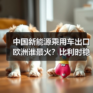 中国新能源乘用车出口欧洲谁最火?比利时稳居前列(图3) 中国新能源乘用车出口欧洲谁最火?比利时稳居前列(图3)