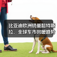 比亚迪欧洲销量超特斯拉,全球车市回暖趋势明显(图2) 比亚迪欧洲销量超特斯拉,全球车市回暖趋势明显(图2)