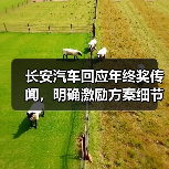 长安汽车回应年终奖传闻,明确激励方案细节(图2) 长安汽车回应年终奖传闻,明确激励方案细节(图2)
