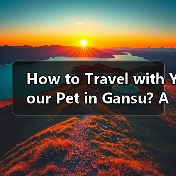 How to Travel with Your Pet in Gansu? A Complete Guide for Pet Owners How to Travel with Your Pet in Gansu? A Complete Guide for Pet Owners
