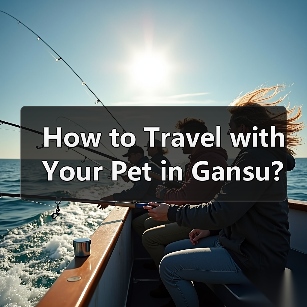 How to Travel with Your Pet in Gansu? A Complete Guide for Pet Owners(图2) How to Travel with Your Pet in Gansu? A Complete Guide for Pet Owners(图2)