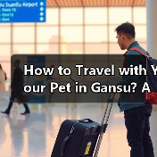 How to Travel with Your Pet in Gansu? A Complete Guide for Pet Owners(图3) How to Travel with Your Pet in Gansu? A Complete Guide for Pet Owners(图3)